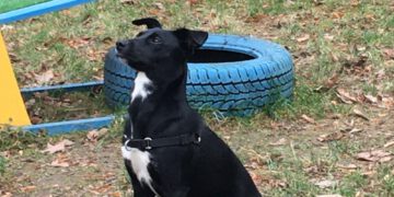 Konsultacje indywidualne